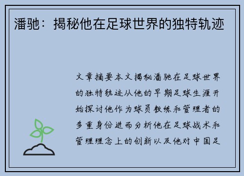 潘驰：揭秘他在足球世界的独特轨迹